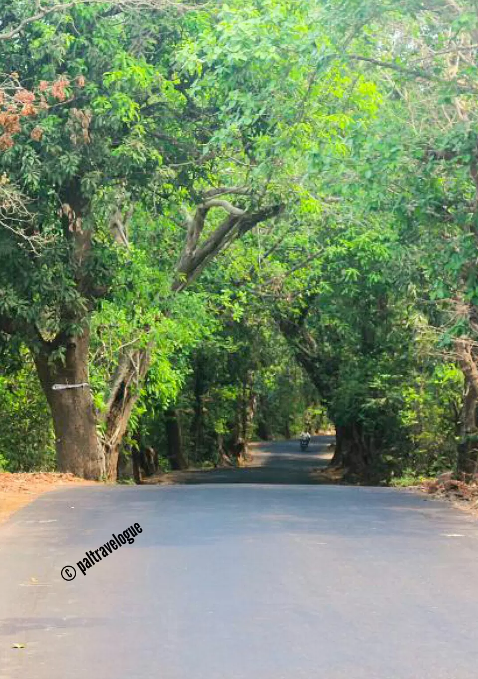 Photo of A weekend gateway to tiny beach town Harihareshwar by Pranab Pal @paltravelogue