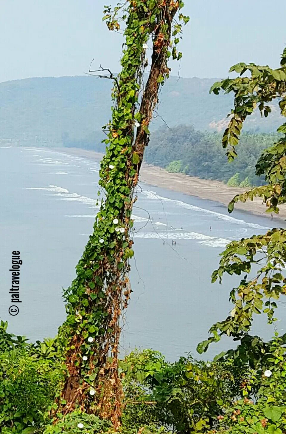 Photo of Harihareshwar Temple Road, Harihareshwar, Maharashtra, India by Pranab Pal @paltravelogue