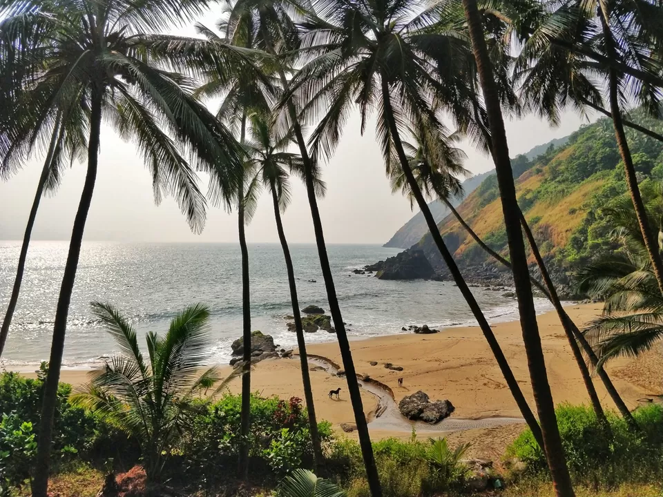 Photo of Kakolem Beach, Goa, India by Pranab Pal @paltravelogue