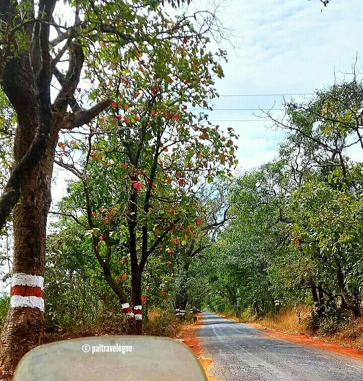Photo of Kakolem Beach – The True Hidden Gem Of South Goa #DestinationSkip by Pranab Pal @paltravelogue