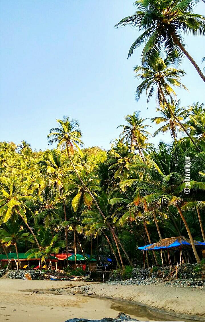 Photo of Kakolem Beach – The True Hidden Gem Of South Goa #DestinationSkip by Pranab Pal @paltravelogue