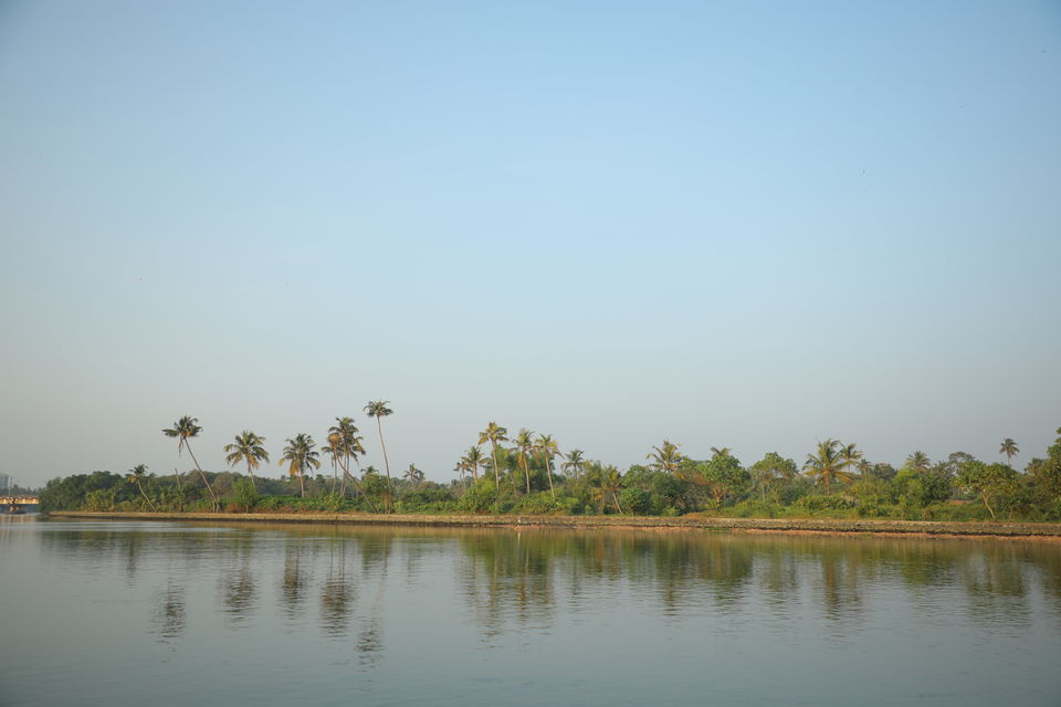Photo of Boating at Cochin Backwater, 1 Hour trip Rs. 1500/- 2/2 by QUEEN of VEMBANAD