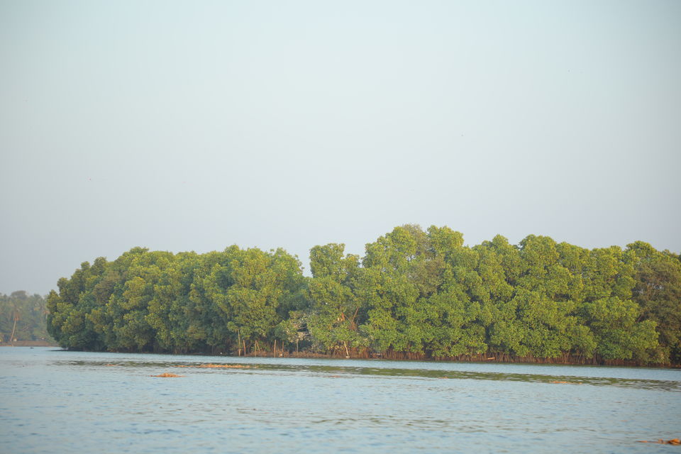 Photo of Boating at Cochin Backwater, 1 Hour trip Rs. 1500/- by QUEEN of VEMBANAD