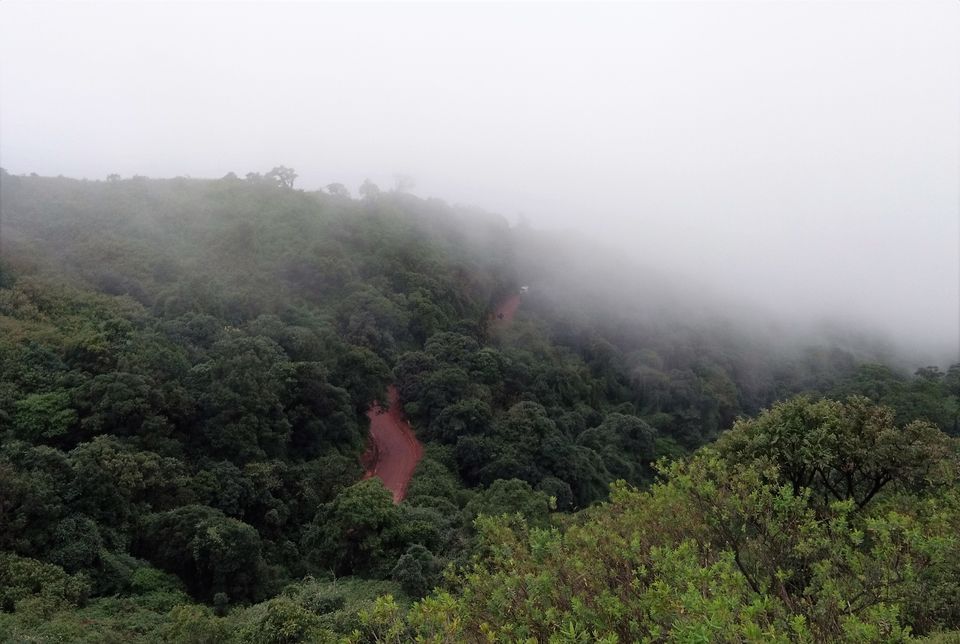 Photo of ChandraDrona Parvatha - A series of Hill Stations @ Chikmagalur #notinnorth 5/6 by Sindhura B R