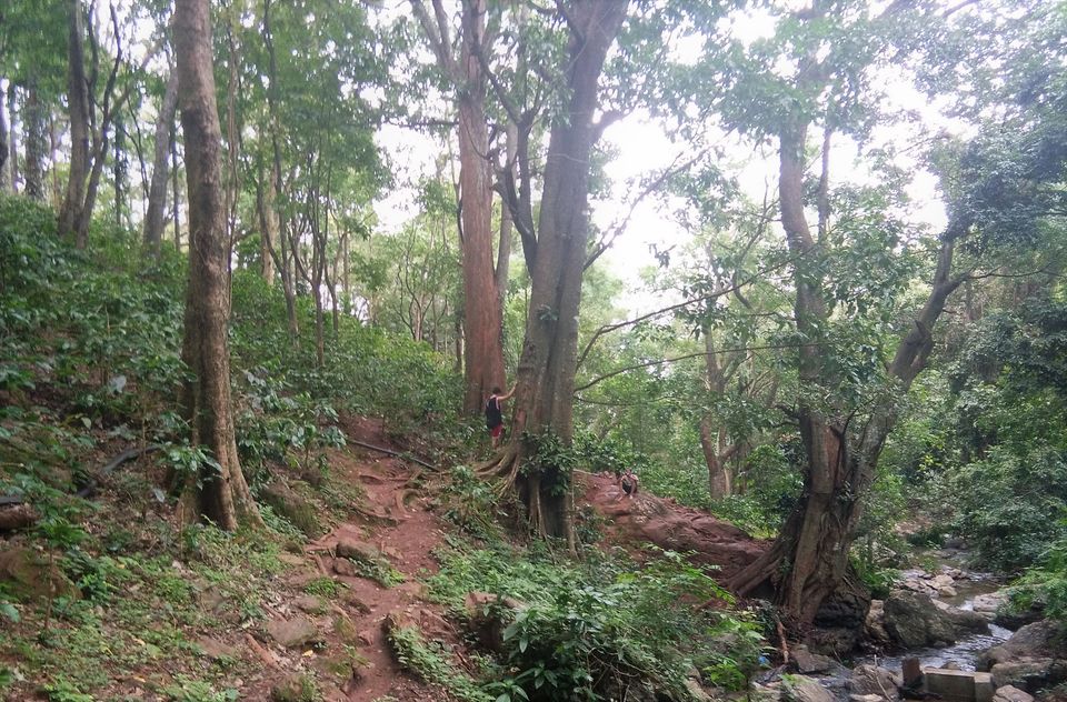 Photo of Kallattigiri Falls, Nandi Battlu, Karnataka, Indien by Sindhura B R