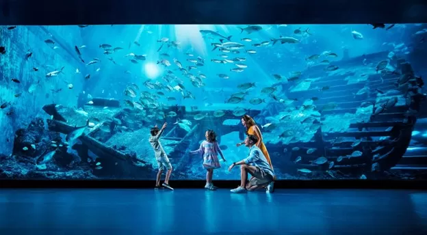 Photo of These Thrilling Experiences in Resorts World™ Sentosa Will Have You Booking a Trip to Singapore by Niyati Saxena (migrantmusings)