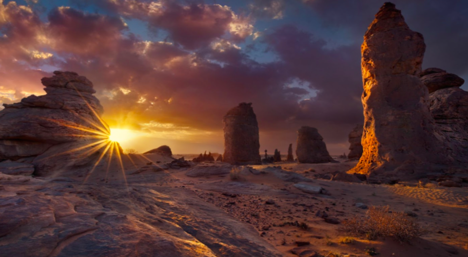 Photo of 10 Unique Experiences That You Can Only Have in Saudi 6/11 by Niyati Saxena (migrantmusings)