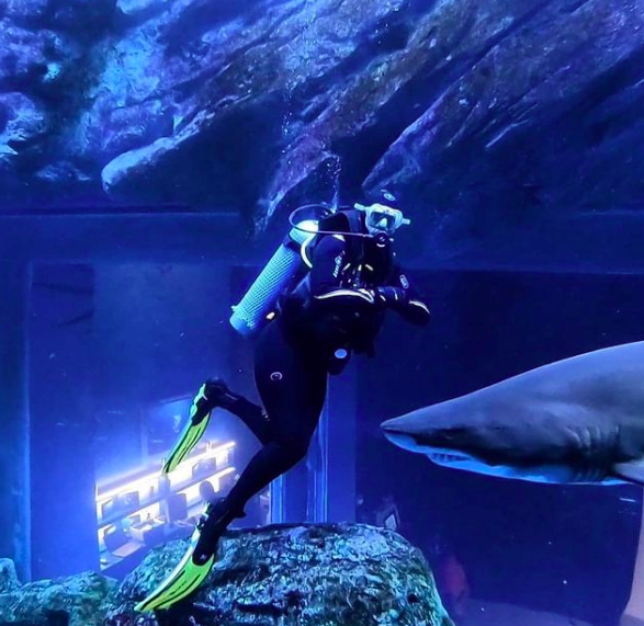 Photo of You Can’t Call Yourself an Adrenaline Junkie if You Haven’t Tried These Adventures in Dubai! 5/10 by Niyati Saxena (migrantmusings)