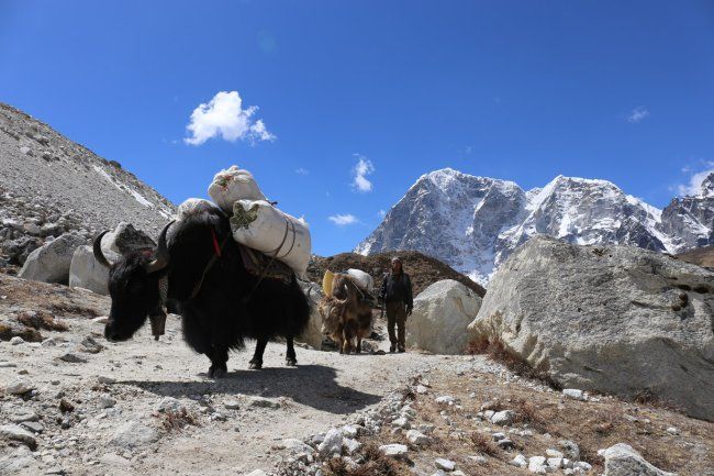 Photo of Things to Consider while Trekking in Nepal 1/1 by Classic Outdoors