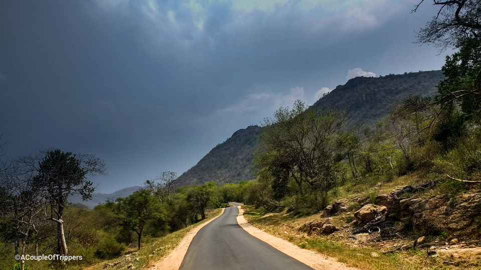 Photo of Chinnar Wildlife Sanctuary, Munnar, Kerala, India by A CoupleOfTrippers