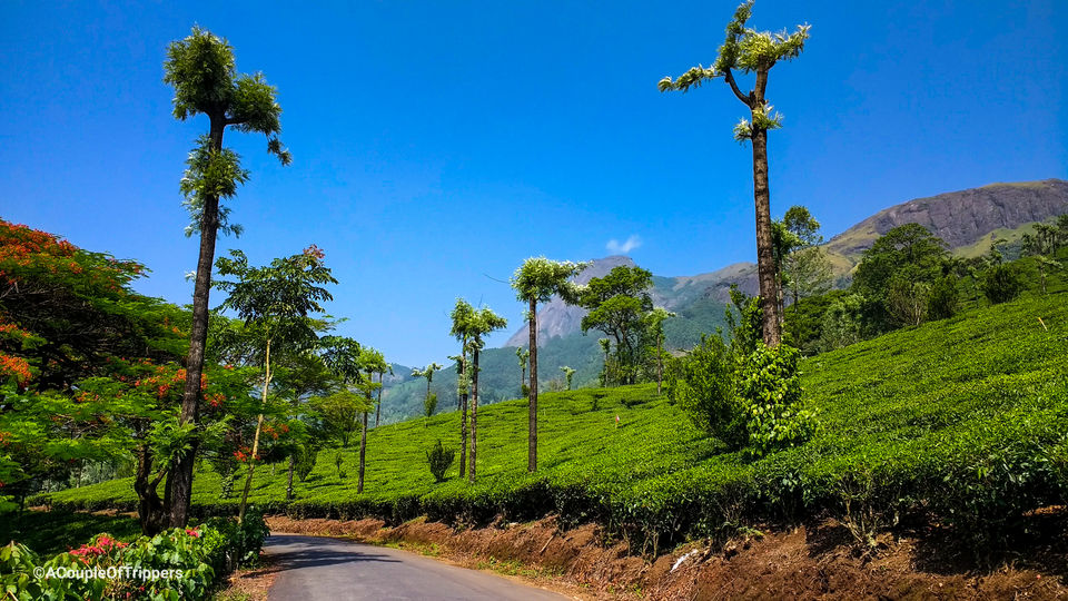 Photo of Want to avoid the weekend rush in Munnar? Here is your unheard quaint little escape. by A CoupleOfTrippers