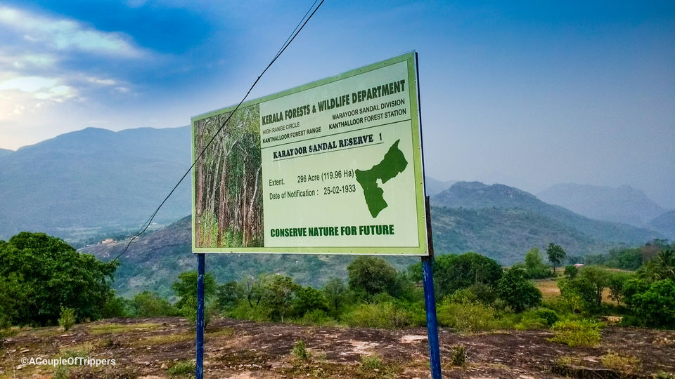 Photo of Sandalwood Forest, Marayoor, Kerala, India by A CoupleOfTrippers