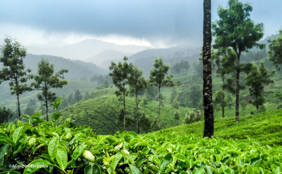 Photo of Devikulam, Kerala, India by A CoupleOfTrippers