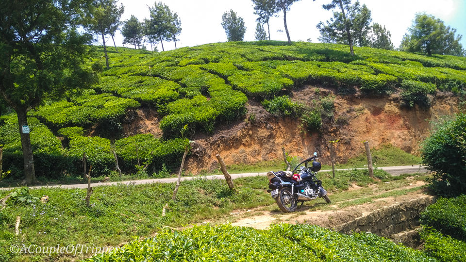 Photo of Devikulam, Kerala, India by A CoupleOfTrippers