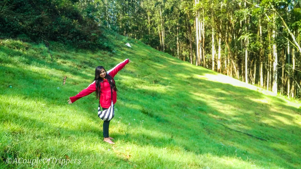 Photo of Mattuppetty Echo Point Road, Munnar - Top Station Highway, Kannan Devan Hills, Kerala, India by A CoupleOfTrippers