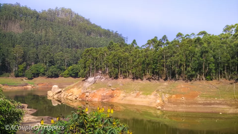 Photo of Mattuppetty Echo Point Road, Munnar - Top Station Highway, Kannan Devan Hills, Kerala, India by A CoupleOfTrippers