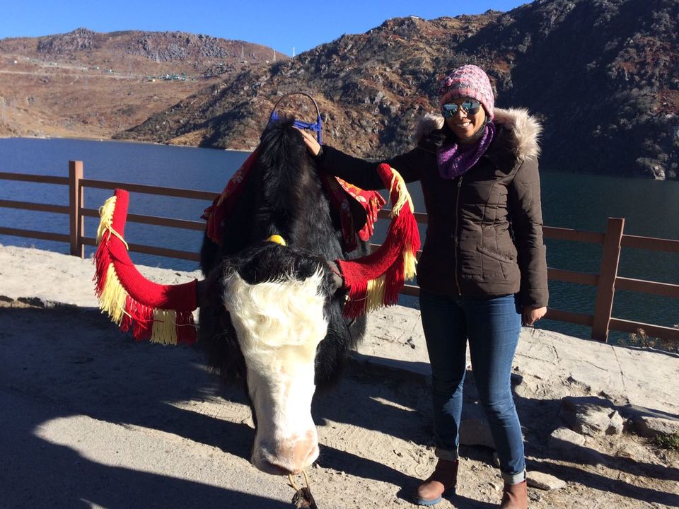 Photo of My Journey of thousand miles Begins with Sikkim - The Abode of Gods (Part 2) 6/18 by Sasmita Parida