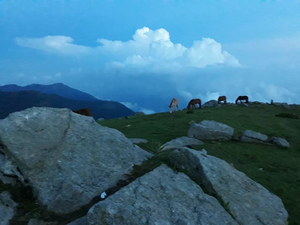 Photo of "When everything feels like an uphill struggle, just think of the view from the Top" 4/7 by Sasmita Parida