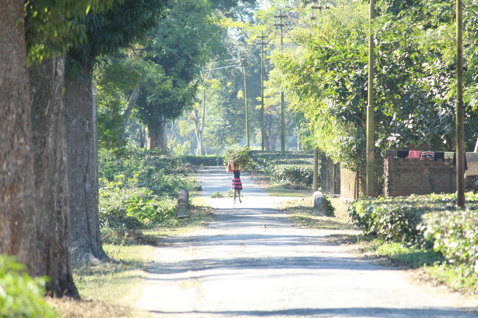 Photo of A Road Trip to Tawang by Soham Biswas