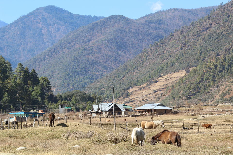Photo of Dirang by Soham Biswas