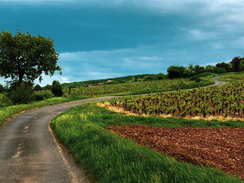 Photo of Discovering a little piece of Tuscany in France! 8/9 by Windrosemusings - Debopriya