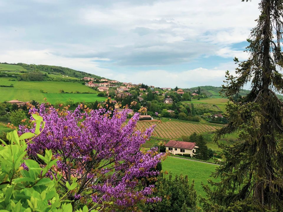 Photo of Discovering a little piece of Tuscany in France! 2/9 by Windrosemusings - Debopriya