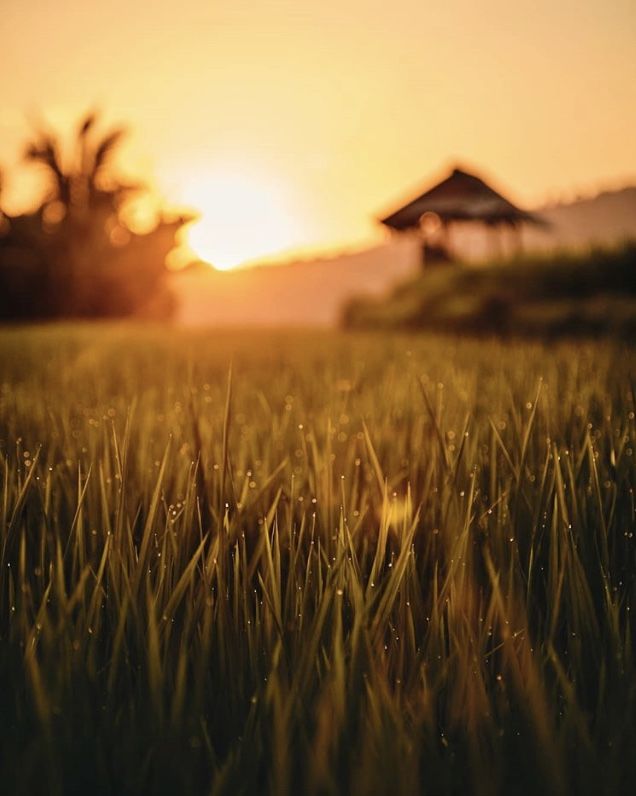 Photo of Discover the less-known Bali: Munduk by Windrosemusings - Debopriya