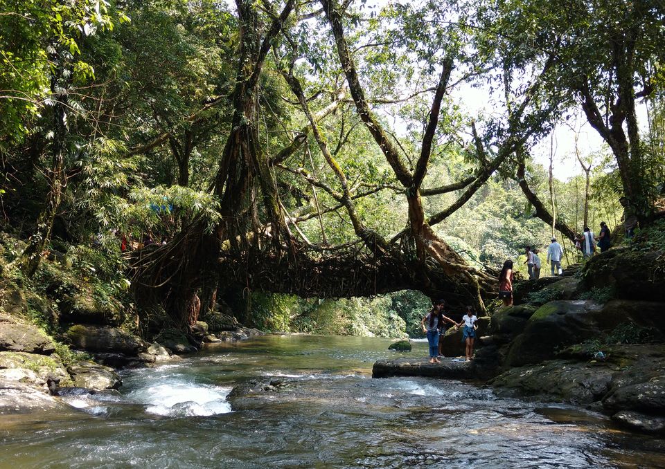 Photo of Don't miss Mawlynnong on your next trip to Meghalaya by Zahid
