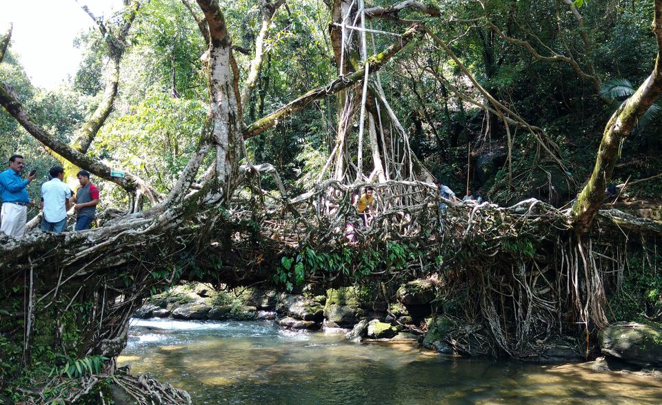 Photo of Don't miss Mawlynnong on your next trip to Meghalaya by Zahid