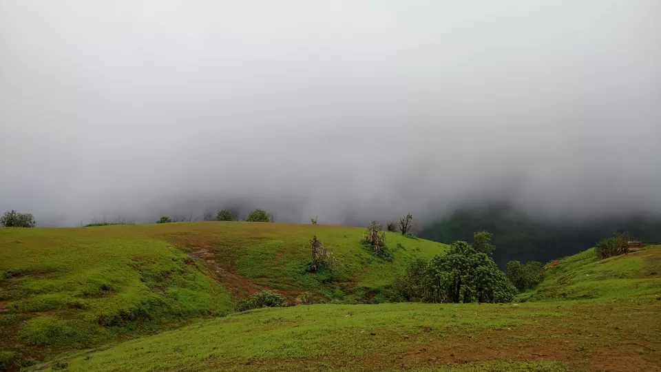 Photo of Andharban Trail start point, Pimpri, Maharashtra, India by Zahid
