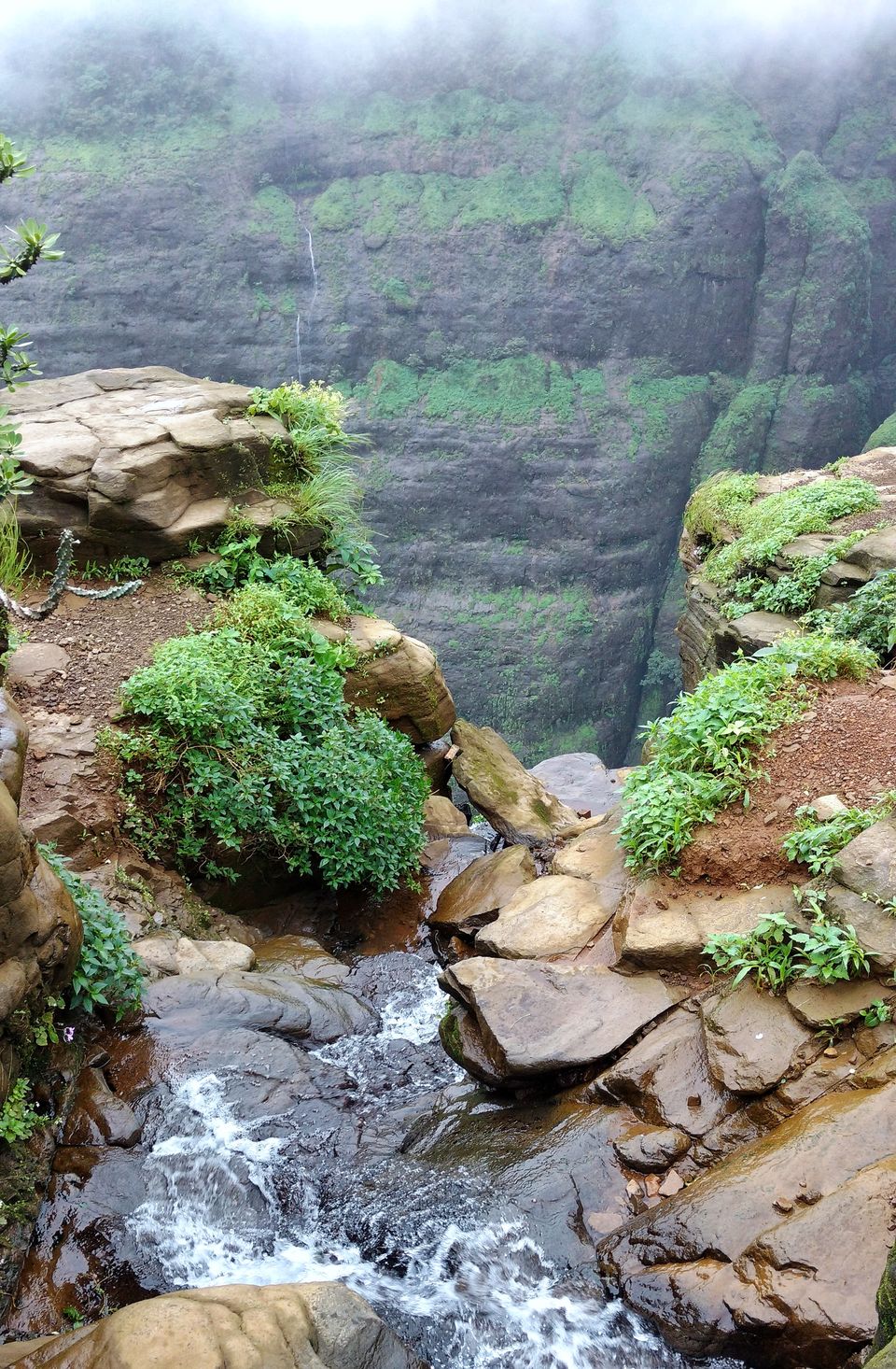 Photo of Weekend Trip To Tamhini Ghat (Pune) #BestOfTravel by Zahid
