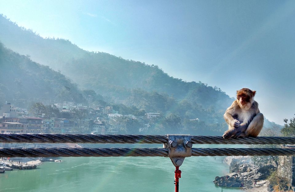 Photo of Rishikesh - Nature And Adventure, Chants And Peace #BestOfTravel by Zahid