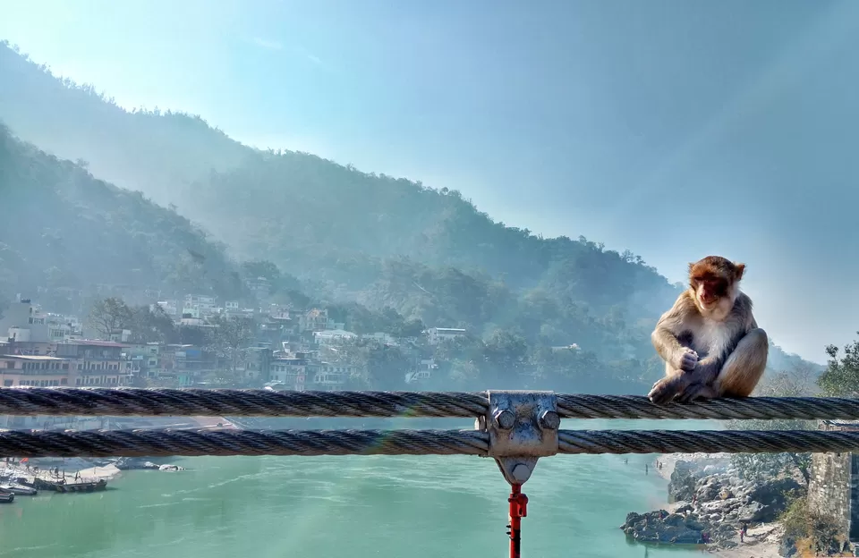 Photo of Rishikesh - Nature And Adventure, Chants And Peace #BestOfTravel by Zahid