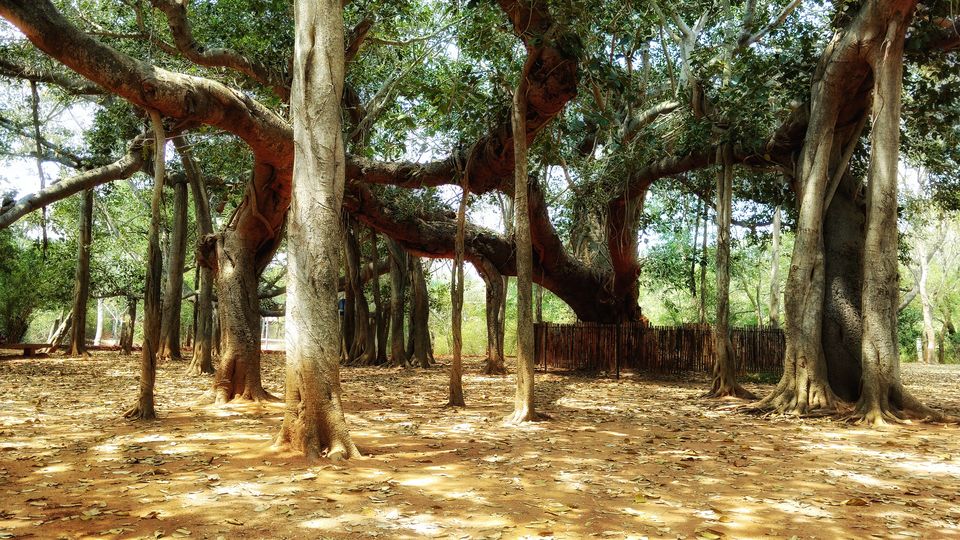 Photo of Auroville, Tamil Nadu, India by Zahid
