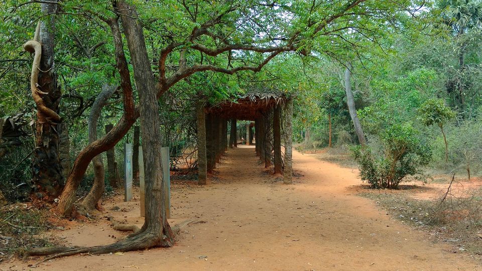 Photo of Auroville, Tamil Nadu, India by Zahid