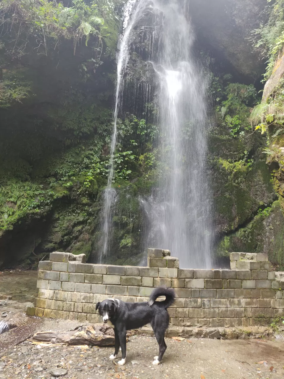 Photo of Jibhi Waterfall, Tandi, Himachal Pradesh, India by Shelly Sinha