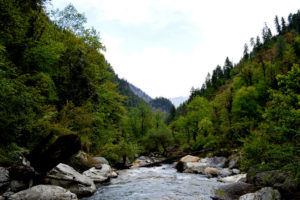Photo of Grahan: A Night Under The Stars. by Aastha Maheshwari