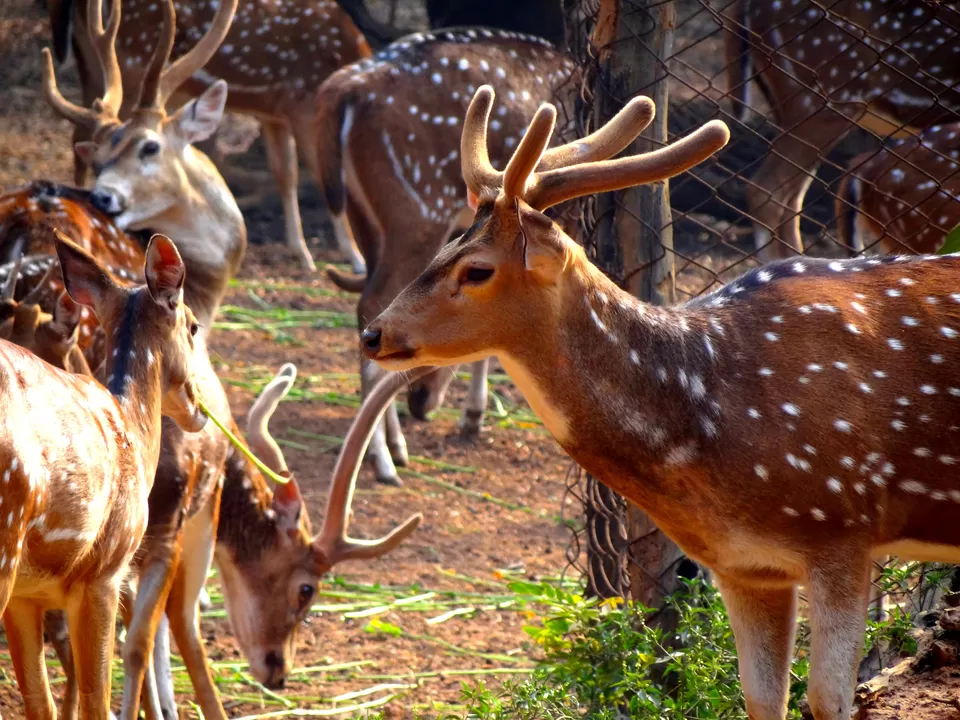 Photo of Deer Park Eco Home, Bolpur, West Bengal, India by Raisa