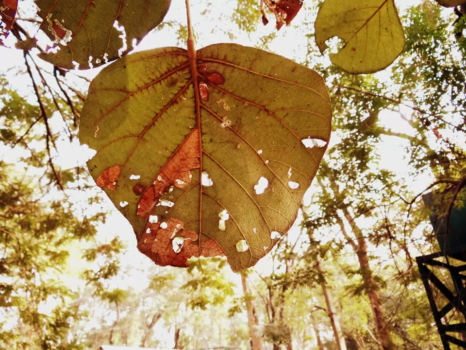 Photo of Deer Park Eco Home, Bolpur, West Bengal, India by Raisa
