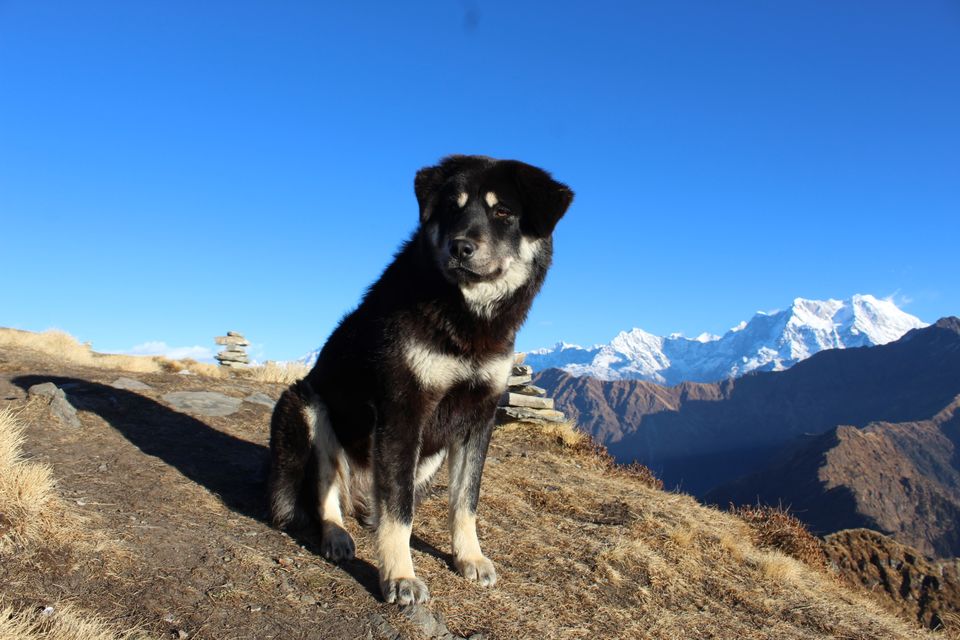 Photo of Deoria Tal, Uttarakhand by Akash Parmar