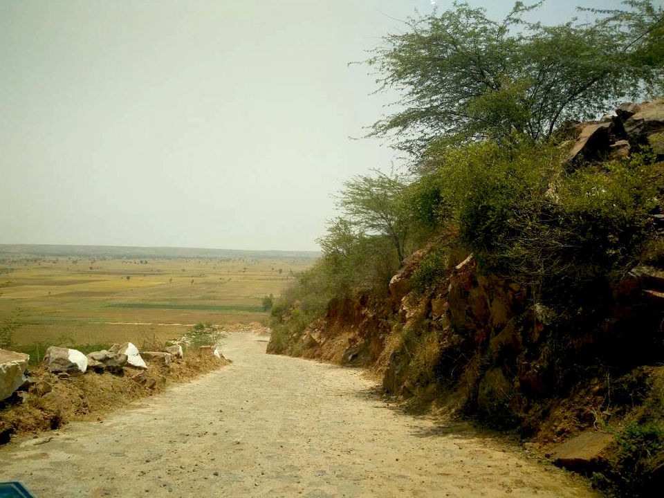Photo of Tijara Fort Palace Raised The Bar When It Comes To Weekend Getaways From Delhi! by Ratan Mehta