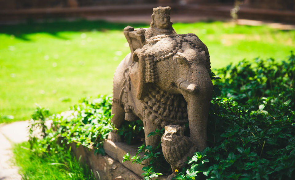 Photo of Tijara Fort Palace Raised The Bar When It Comes To Weekend Getaways From Delhi! by Ratan Mehta