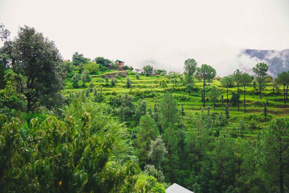 Photo of The Ramgarh Bungalows are Amazing for a Peaceful Weekend Getaway From Delhi by Ratan Mehta