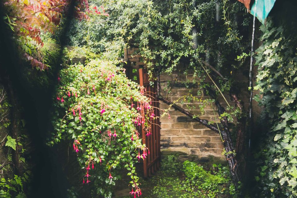 Photo of The Ramgarh Bungalows are Amazing for a Peaceful Weekend Getaway From Delhi by Ratan Mehta