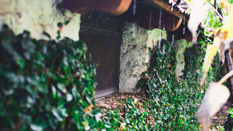Photo of The Ramgarh Bungalows are Amazing for a Peaceful Weekend Getaway From Delhi by Ratan Mehta