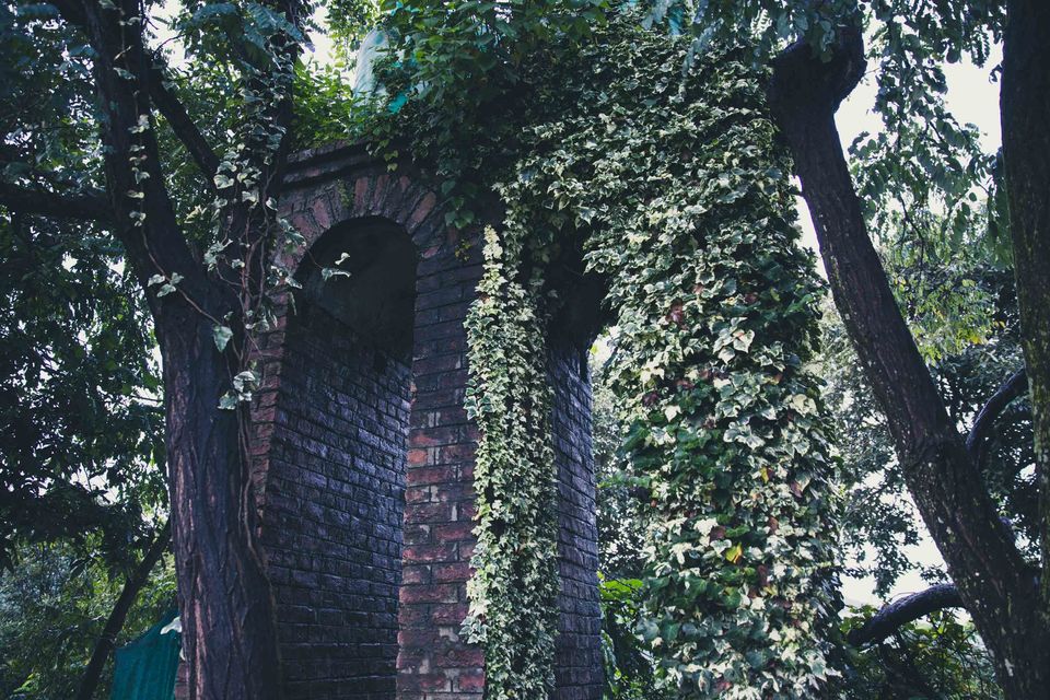 Photo of The Ramgarh Bungalows are Amazing for a Peaceful Weekend Getaway From Delhi by Ratan Mehta