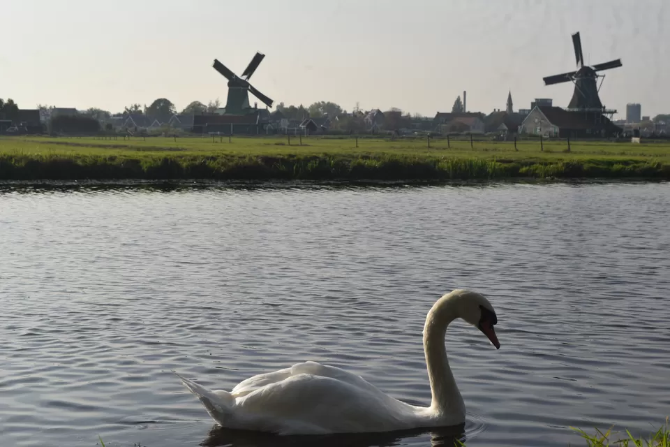 Photo of SOLO AMSTERDAM AND PARIS by Rahul Rajeev