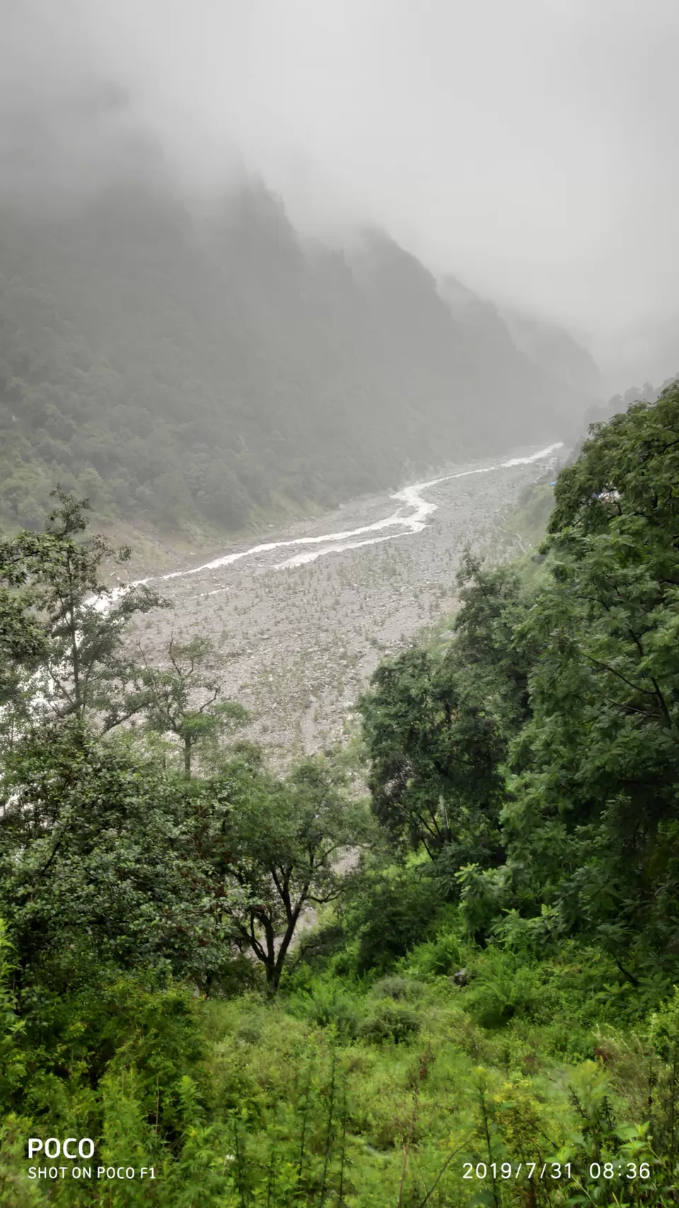 Photo of A Mesmerising Journey to the Sublime Valley of Flowers & Hemkund Sahib by Bharat Kevlani