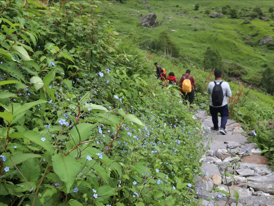 Photo of A Mesmerising Journey to the Sublime Valley of Flowers & Hemkund Sahib by Bharat Kevlani