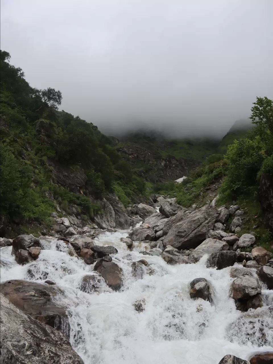 Photo of A Mesmerising Journey to the Sublime Valley of Flowers & Hemkund Sahib by Bharat Kevlani